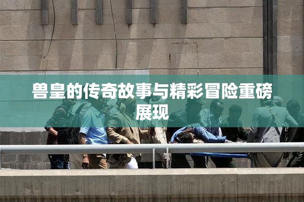 兽皇的传奇故事与精彩冒险重磅展现