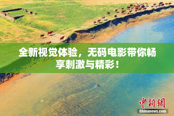 全新视觉体验，无码电影带你畅享刺激与精彩！