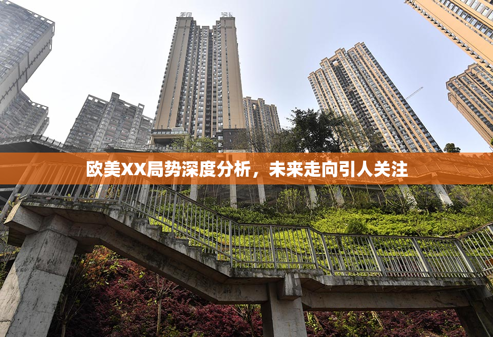 欧美XX局势深度分析，未来走向引人关注