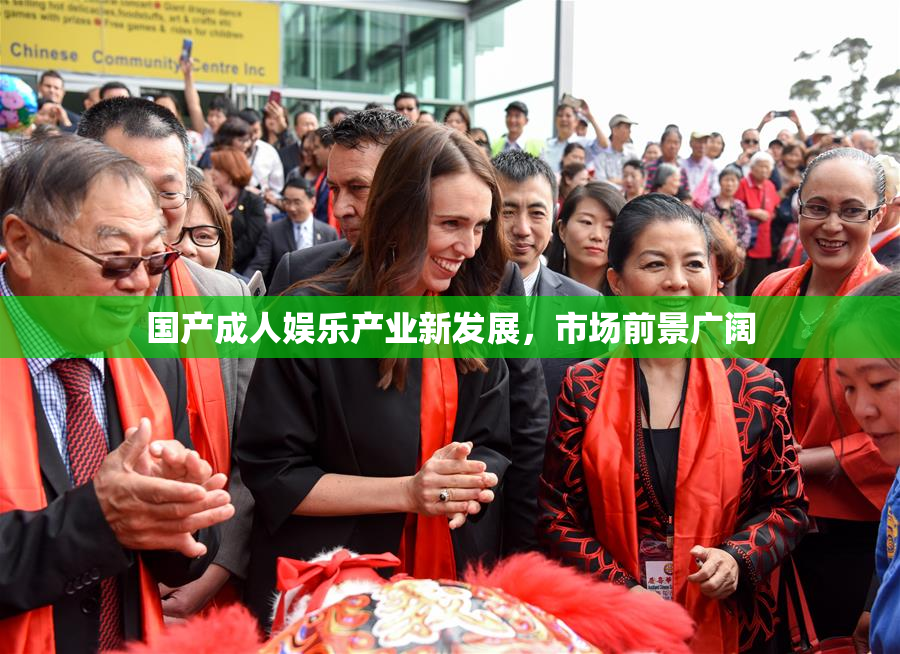 国产成人娱乐产业新发展，市场前景广阔