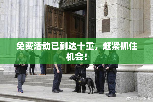 免费活动已到达十重，赶紧抓住机会！