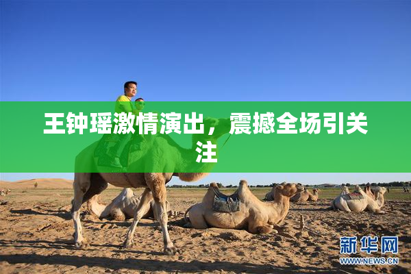 王钟瑶激情演出，震撼全场引关注