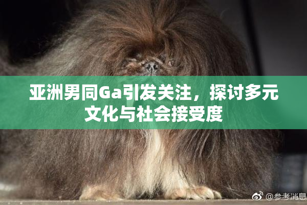 亚洲男同Ga引发关注，探讨多元文化与社会接受度
