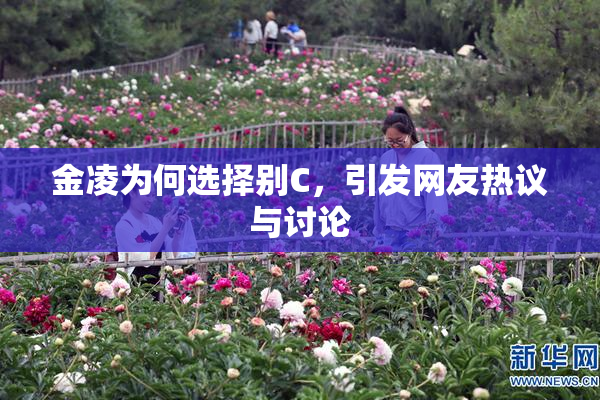 金凌为何选择别C，引发网友热议与讨论