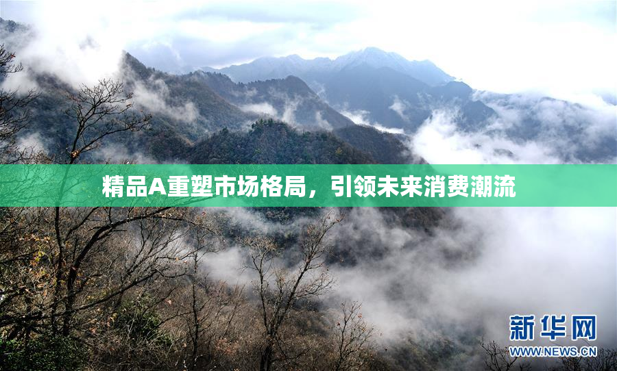 精品A重塑市场格局，引领未来消费潮流