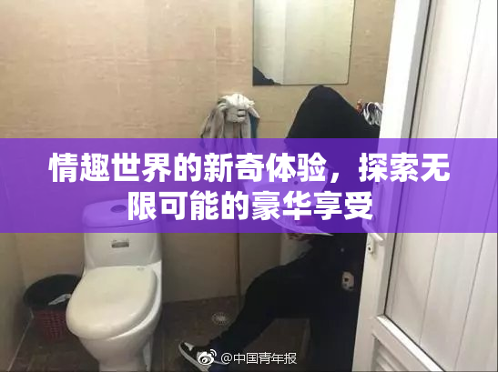 情趣世界的新奇体验，探索无限可能的豪华享受