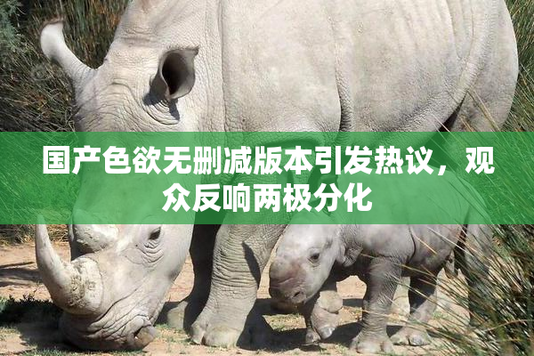 国产色欲无删减版本引发热议，观众反响两极分化
