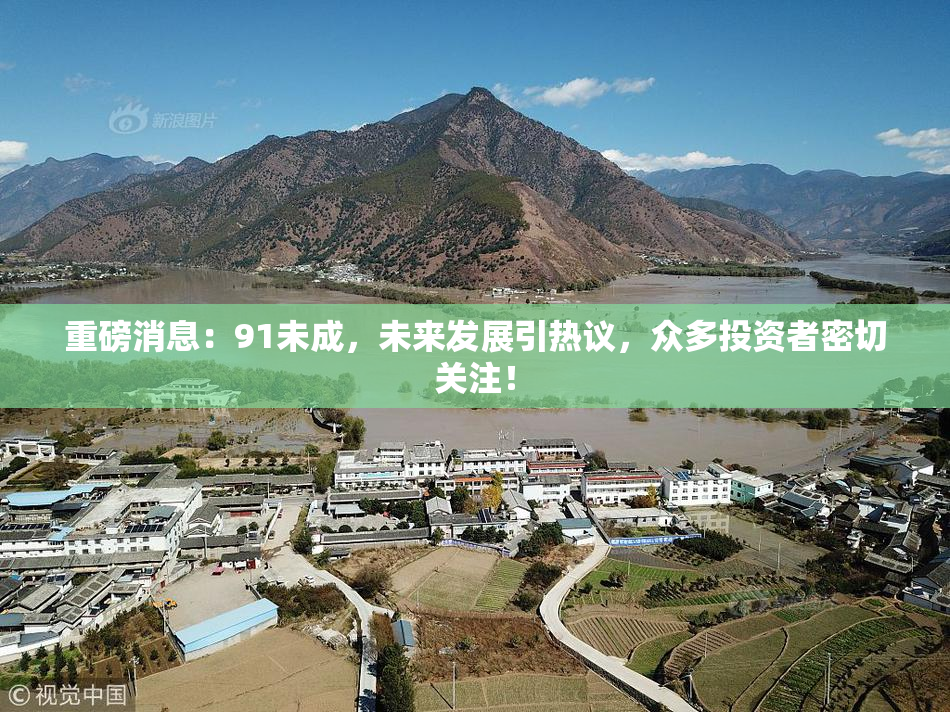 重磅消息：91未成，未来发展引热议，众多投资者密切关注！