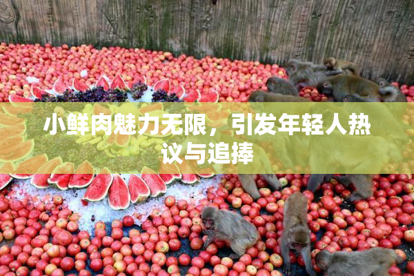 小鲜肉魅力无限，引发年轻人热议与追捧