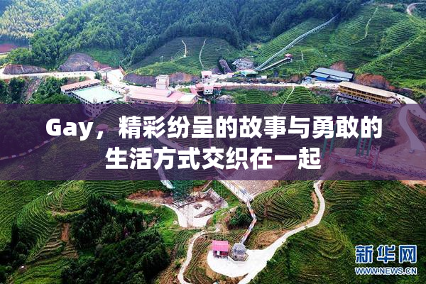 Gay，精彩纷呈的故事与勇敢的生活方式交织在一起