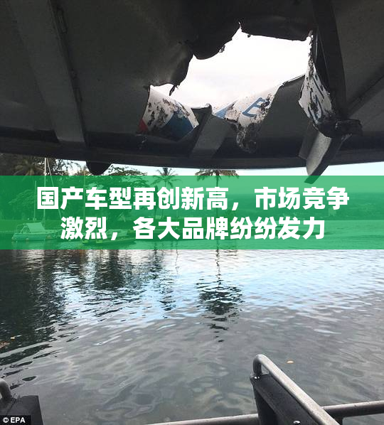 国产车型再创新高，市场竞争激烈，各大品牌纷纷发力