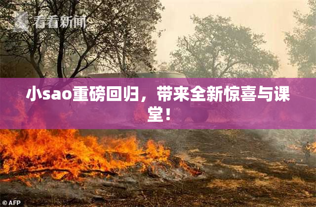 小sao重磅回归，带来全新惊喜与课堂！