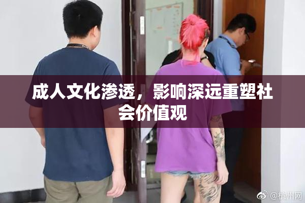 成人文化渗透，影响深远重塑社会价值观