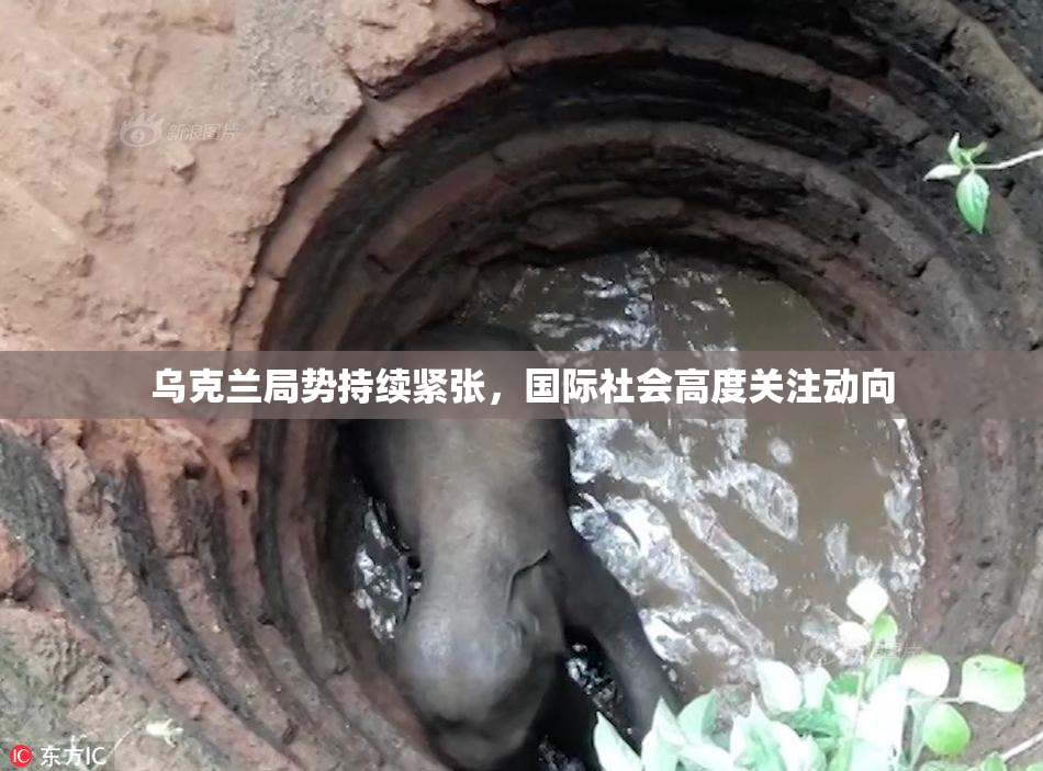 乌克兰局势持续紧张，国际社会高度关注动向