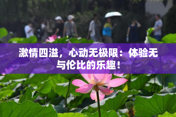 激情四溢，心动无极限：体验无与伦比的乐趣！