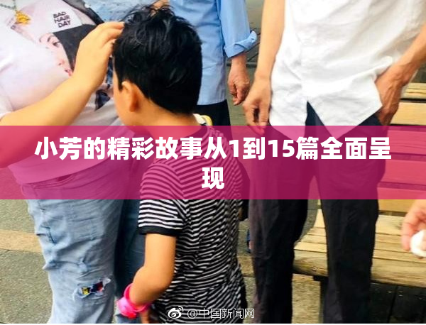 小芳的精彩故事从1到15篇全面呈现