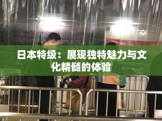 日本特级：展现独特魅力与文化精髓的体验