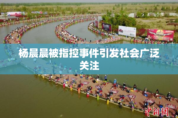 杨晨晨被指控事件引发社会广泛关注