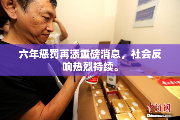 六年惩罚再添重磅消息，社会反响热烈持续。