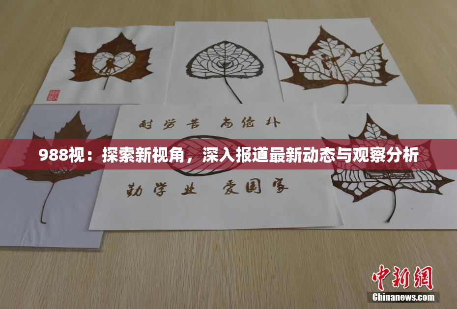 988视：探索新视角，深入报道最新动态与观察分析