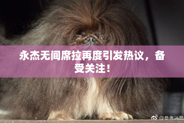 永杰无间席拉再度引发热议，备受关注！