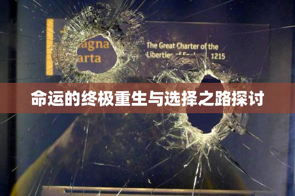命运的终极重生与选择之路探讨