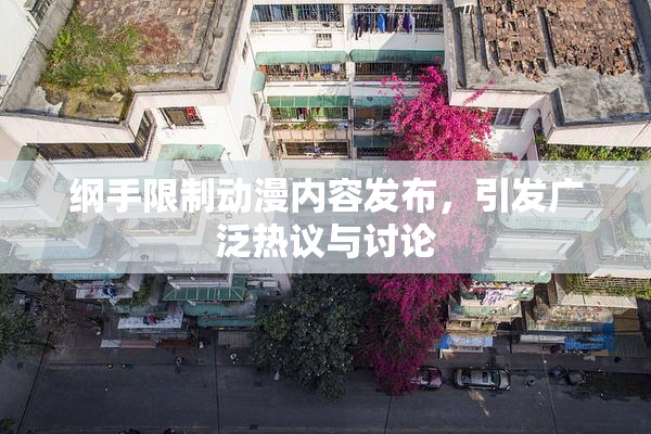 纲手限制动漫内容发布，引发广泛热议与讨论