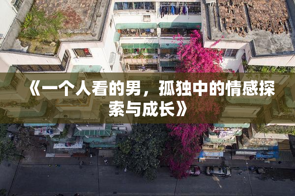 《一个人看的男，孤独中的情感探索与成长》