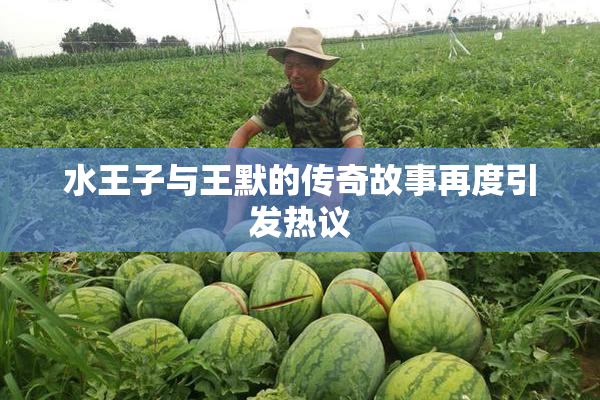 水王子与王默的传奇故事再度引发热议