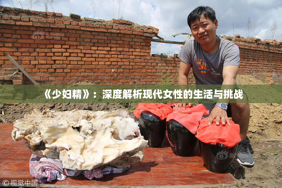 《少妇精》：深度解析现代女性的生活与挑战