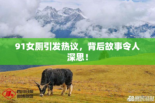 91女厕引发热议，背后故事令人深思！