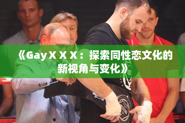 《GayⅩⅩⅩ：探索同性恋文化的新视角与变化》