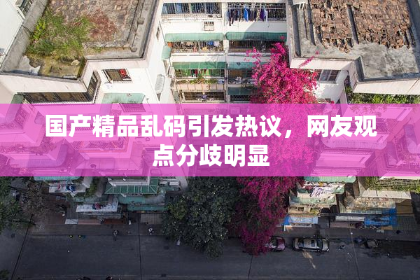 国产精品乱码引发热议，网友观点分歧明显