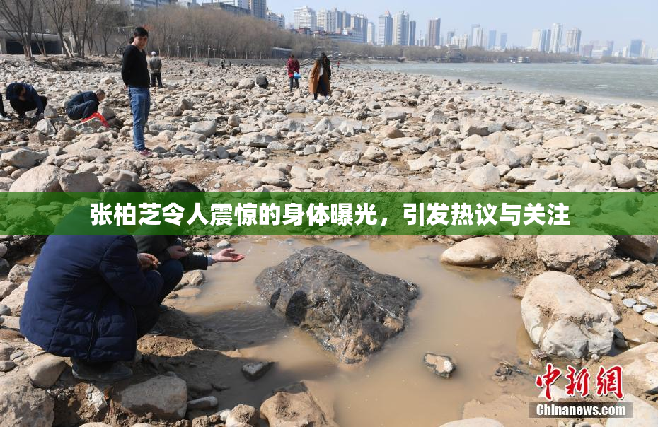 张柏芝令人震惊的身体曝光，引发热议与关注