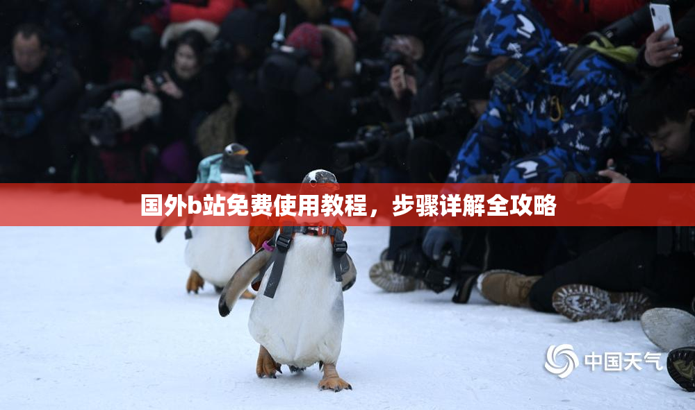 国外b站免费使用教程，步骤详解全攻略