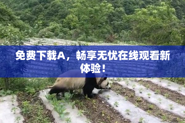 免费下载A，畅享无忧在线观看新体验！