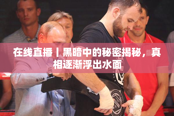 在线直播丨黑暗中的秘密揭秘，真相逐渐浮出水面