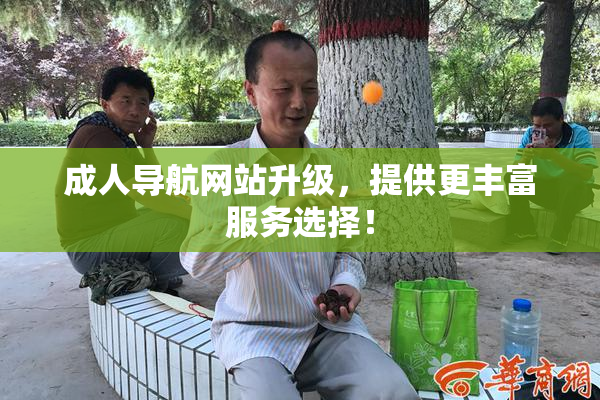 成人导航网站升级，提供更丰富服务选择！