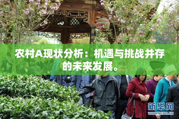 农村A现状分析：机遇与挑战并存的未来发展。