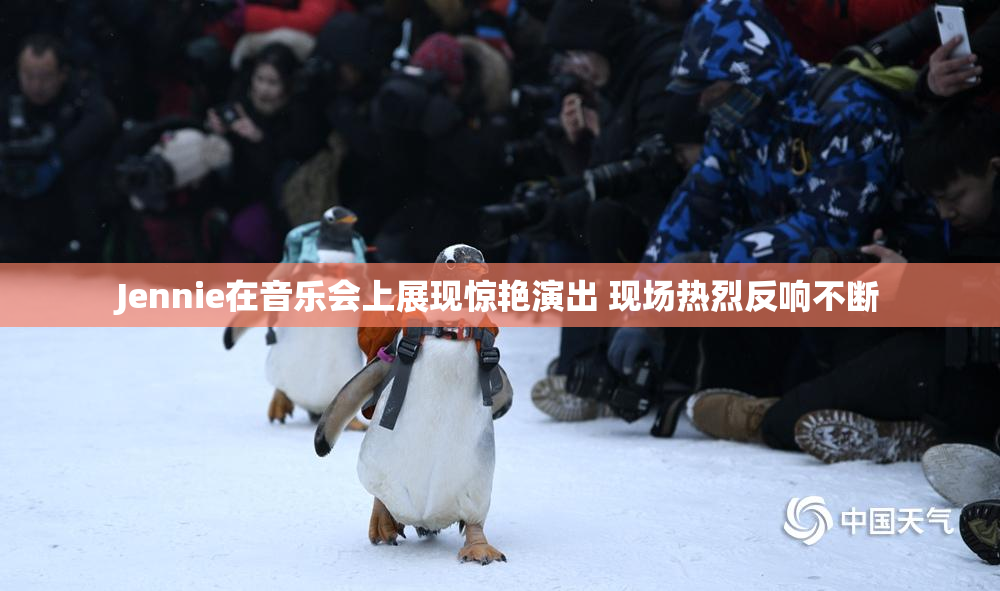 Jennie在音乐会上展现惊艳演出 现场热烈反响不断