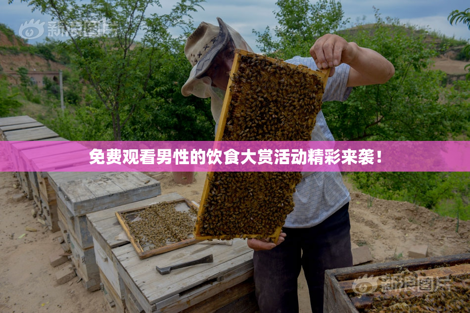 免费观看男性的饮食大赏活动精彩来袭！