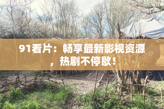 91看片：畅享最新影视资源，热剧不停歇！