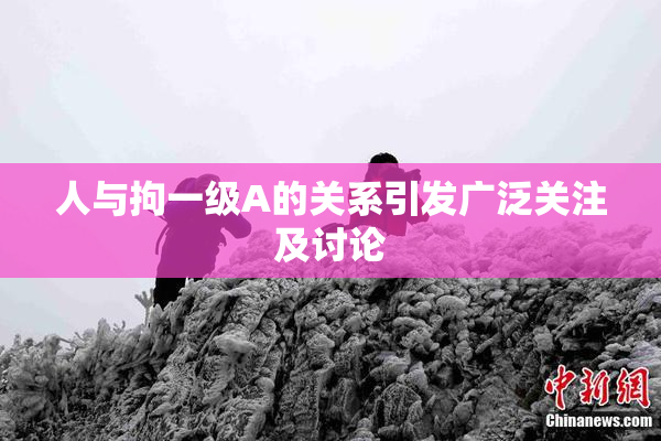 人与拘一级A的关系引发广泛关注及讨论