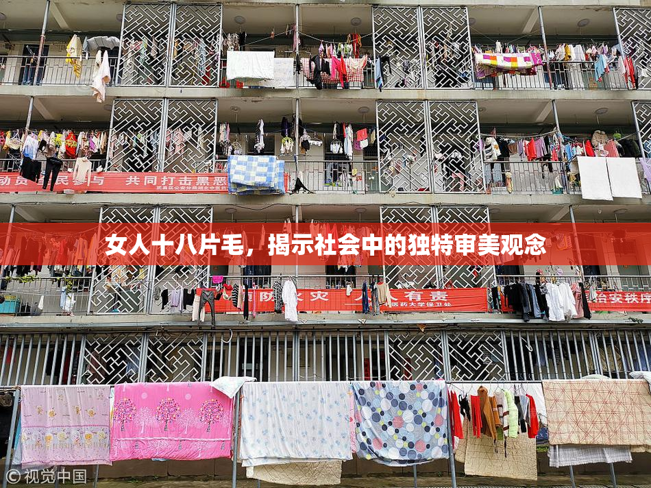 女人十八片毛，揭示社会中的独特审美观念