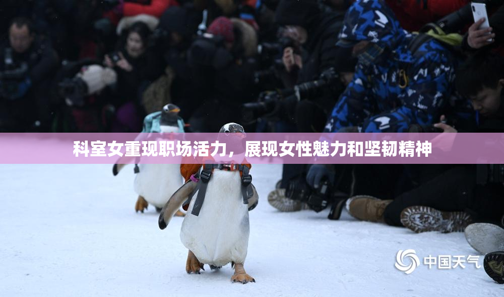 科室女重现职场活力，展现女性魅力和坚韧精神