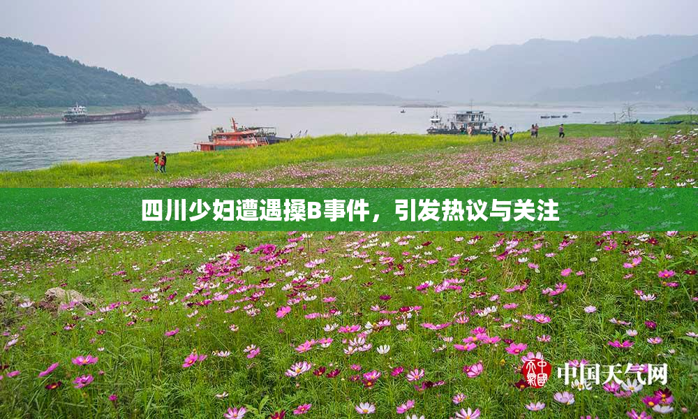 四川少妇遭遇搡B事件，引发热议与关注
