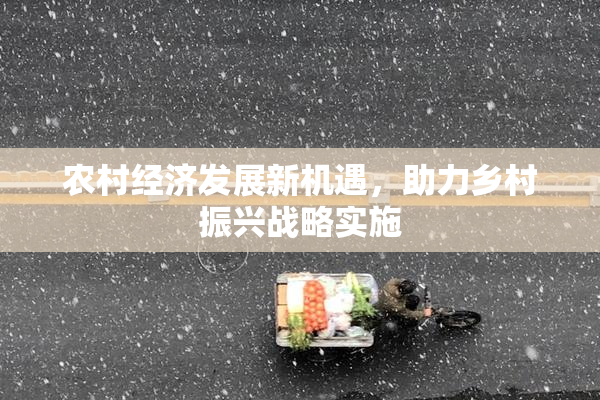 农村经济发展新机遇，助力乡村振兴战略实施