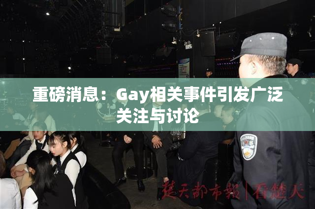 重磅消息：Gay相关事件引发广泛关注与讨论