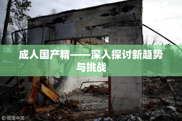 成人国产精——深入探讨新趋势与挑战