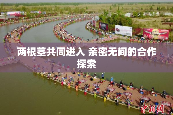 两根茎共同进入 亲密无间的合作探索